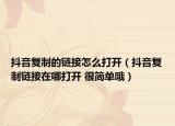 抖音复制的链接怎么打开（抖音复制链接在哪打开 很简单哦）