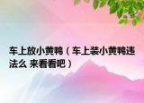 车上放小黄鸭（车上装小黄鸭违法么 来看看吧）