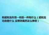 和诺和龙作用一样的一药有什么（诺和龙功效是什么 没想到竟然这么神奇）