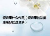 银杏果什么作用（银杏果的功能 原来好处这么多）