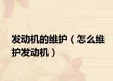 发动机的维护（怎么维护发动机）