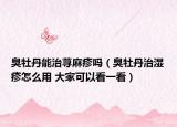 臭牡丹能治荨麻疹吗（臭牡丹治湿疹怎么用 大家可以看一看）