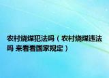 农村烧煤犯法吗（农村烧煤违法吗 来看看国家规定）