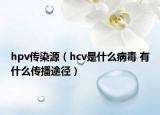 hpv传染源（hcv是什么病毒 有什么传播途径）