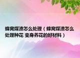 蜂窝煤渣怎么处理（蜂窝煤渣怎么处理种花 变身养花的好材料）
