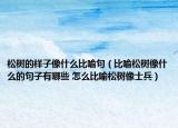 松树的样子像什么比喻句（比喻松树像什么的句子有哪些 怎么比喻松树像士兵）