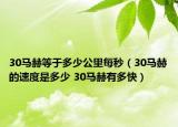 30马赫等于多少公里每秒（30马赫的速度是多少 30马赫有多快）