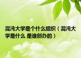 混沌大学是个什么组织（混沌大学是什么 是谁创办的）