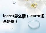 learnt怎么读（learnt读音是啥）