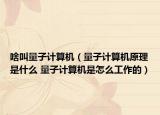 啥叫量子计算机（量子计算机原理是什么 量子计算机是怎么工作的）
