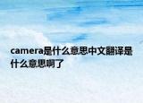 camera是什么意思中文翻译是什么意思啊了