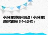 小苏打的做用和用途（小苏打的用途有哪些 5个小妙招）