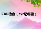 CXR检查（cxr是哪里）