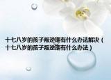 十七八岁的孩子叛逆期有什么办法解决（十七八岁的孩子叛逆期有什么办法）