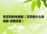 有宝莉的电视剧（宝莉是什么电视剧 请看回答）
