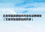王者荣耀皮肤如何共享在设置哪里（王者荣耀皮肤如何共享）