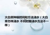 大白菜种植时间和方法浇水（大白菜怎样浇水 不同时期浇水方法不一样）
