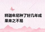 释迦牟尼种了好几年成果来之不易