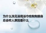 为什么洗完澡用浴巾给狗狗擦身总会咬人原因是什么