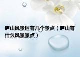 庐山风景区有几个景点（庐山有什么风景景点）