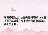 鸟粪掉在头上什么预兆如何破解o e（房子上的鸟粪掉在头上什么预兆 鸟粪掉在头上怎么办）