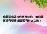 癞葡萄功效与作用及禁忌（癞萄葡坏处有哪些 癞葡萄有什么功效）