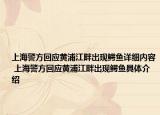 上海警方回应黄浦江畔出现鳄鱼详细内容 上海警方回应黄浦江畔出现鳄鱼具体介绍