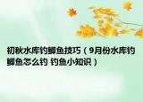 初秋水库钓鲫鱼技巧（9月份水库钓鲫鱼怎么钓 钓鱼小知识）