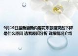 9月19日最新更新内容花呗额度突然下降是什么原因 请看原因分析 详细情况介绍