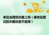 老鼠会爬到衣服上吗（被老鼠爬过的衣服还能不能穿）