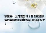 家里养什么花去异味（什么花能除室内异味相册制作方法 你知道多少）