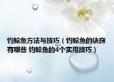钓鲶鱼方法与技巧（钓鲶鱼的诀窍有哪些 钓鲶鱼的4个实用技巧）