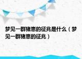 梦见一群猪崽的征兆是什么（梦见一群猪崽的征兆）