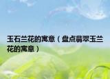 玉石兰花的寓意（盘点翡翠玉兰花的寓意）