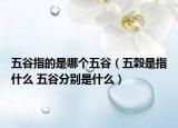 五谷指的是哪个五谷（五穀是指什么 五谷分别是什么）