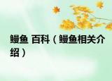 鳗鱼 百科（鳗鱼相关介绍）