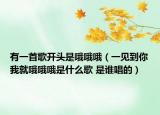 有一首歌开头是哦哦哦（一见到你我就哦哦哦是什么歌 是谁唱的）