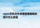 oppo手机文件管理里面删除的照片怎么恢复