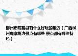柳州市鹿寨县有什么好玩的地方（广西柳州鹿寨周边景点有哪些 景点都有哪些特色）