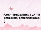 九月份扦插无花果能活吗（9月扦插无花果能活吗 无花果怎么扦插好活）