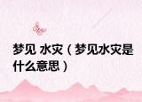 梦见 水灾（梦见水灾是什么意思）
