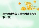 壮士断臂典故（壮士断臂有没有下一句）