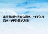 家里盆栽竹子怎么浇水（竹子怎样浇水 竹子的养护方法）