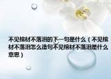 不见棺材不落泪的下一句是什么（不见棺材不落泪怎么造句不见棺材不落泪是什么意思）