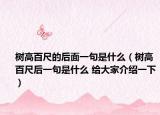 树高百尺的后面一句是什么（树高百尺后一句是什么 给大家介绍一下）