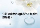 任姓男孩起名简单大气（任姓男孩起名）