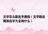 文字怎么取名字男孩（文字取名男孩名字大全有什么）