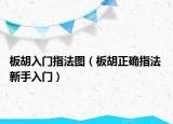 板胡入门指法图（板胡正确指法 新手入门）