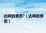 达咩的意思?（达咩的意思）
