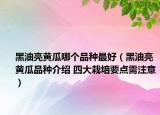 黑油亮黄瓜哪个品种最好（黑油亮黄瓜品种介绍 四大栽培要点需注意）